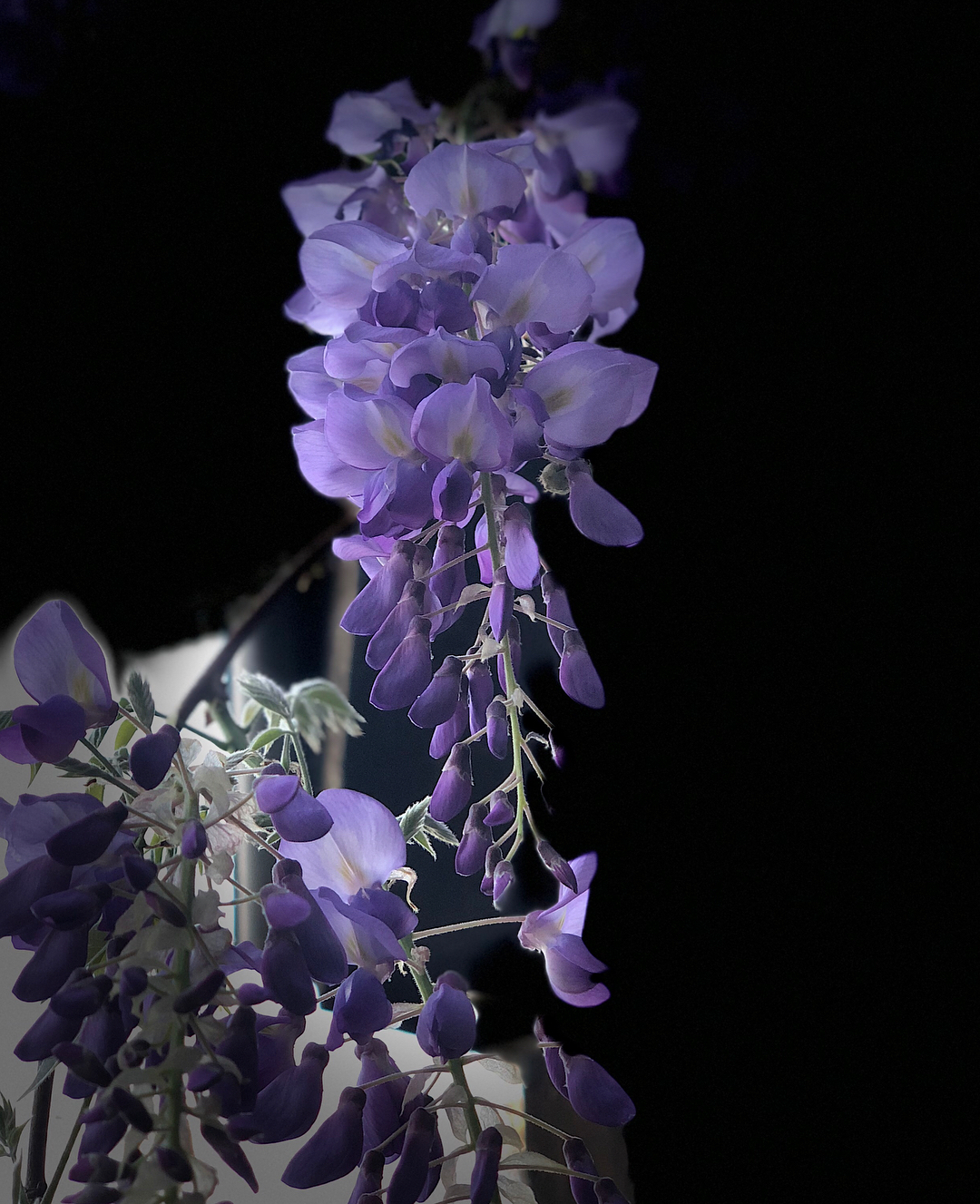 040-2.jpg