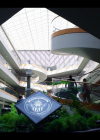 Bestandsnaam=Charmed-Online-dot-nl_TheFlightAttendant2x01-4754.jpg
Bestandsgrootte=234KiB
Afmetingen = 720x404
Datum toegevoegd = mei 16, 2022 Charmed-Online-dot-nl_TheFlightAttendant2x01-4754.jpg