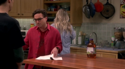 Chamed-Online-dot-nl_TheBigBangTheory12x20-0556.jpg