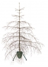 Bestandsnaam=102.jpg
Bestandsgrootte=193KiB
Afmetingen = 1080x1080
Datum toegevoegd = feb 25, 2021 102.jpg