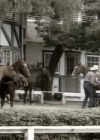 charmed-online_dot_nl-beverlyhills90210-2x11-1255.jpg