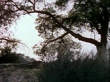 Charmed-Online-dot-NLCharmed-Online-dot-NL-LittleHouseonthePrairie9x12-2427.jpg