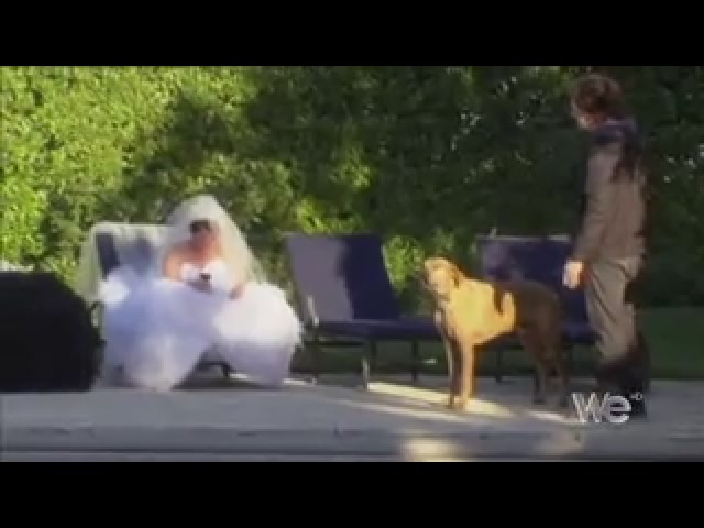 Charmed-Online_dot_net-ShannenSays1x06-0818.jpg Charmed-Online_dot_net-ShannenSays1x06-0818.jpg