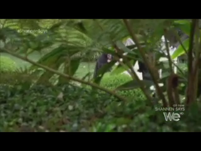 Charmed-Online_dot_net-ShannenSays1x08-1200.jpg Charmed-Online_dot_net-ShannenSays1x08-1200.jpg