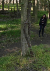 Bestandsnaam=Charmed-Online-dot-nl_Manifest3x02-0628.jpg
Bestandsgrootte=302KiB
Afmetingen = 720x400
Datum toegevoegd = mei 24, 2021 Charmed-Online-dot-nl_Manifest3x02-0628.jpg