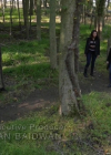 Bestandsnaam=Charmed-Online-dot-nl_Manifest3x02-0630.jpg
Bestandsgrootte=303KiB
Afmetingen = 720x400
Datum toegevoegd = mei 24, 2021 Charmed-Online-dot-nl_Manifest3x02-0630.jpg