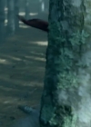 Bestandsnaam=Charmed-Online-dot-nl-TheShannaraChronicles1x01-0313.jpg
Bestandsgrootte=335KiB
Afmetingen = 1280x720
Datum toegevoegd = mrt 22, 2020 Charmed-Online-dot-nl-TheShannaraChronicles1x01-0313.jpg