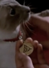 Charmed-Online-dot-net_Charmed-1x00UnairedPilot-0796.jpg