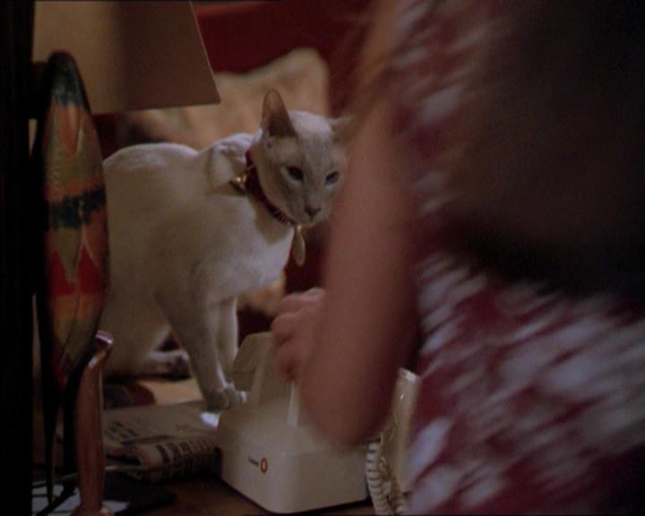 Charmed-Online_dot_net-2x01WitchTrial0368.jpg