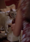 Charmed-Online_dot_net-2x01WitchTrial0368.jpg