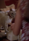 Bestandsnaam=Charmed-Online_dot_net-2x01WitchTrial0368.jpg
Bestandsgrootte=28KiB
Afmetingen = 720x576
Datum toegevoegd = apr 03, 2014 Charmed-Online_dot_net-2x01WitchTrial0368.jpg