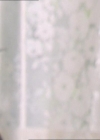 Charmed-Online_dot_net-2x01WitchTrial0991.jpg