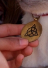 Charmed-Online_dot_net-2x01WitchTrial1069.jpg