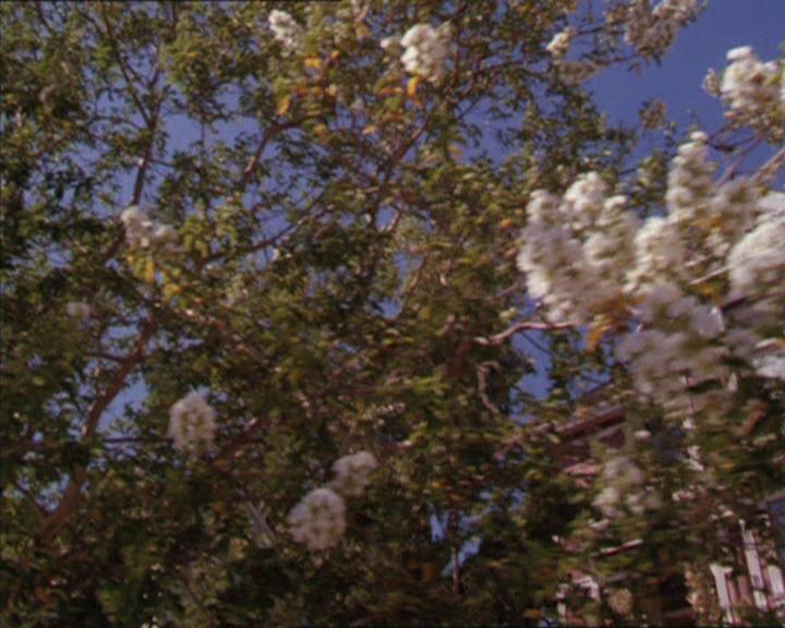 Charmed-Online_dot_net-2x02MoralityBites1474.jpg