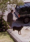 Charmed-Online_dot_net-2x02MoralityBites0097.jpg