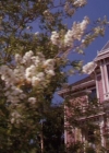 Charmed-Online_dot_net-2x02MoralityBites1475.jpg