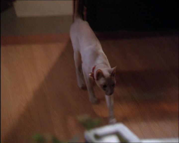 Charmed-Online_dot_net-2x03ThePaintedWorld1795.jpg