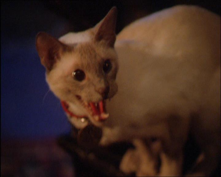 Charmed-Online_dot_net-2x03ThePaintedWorld1857.jpg
