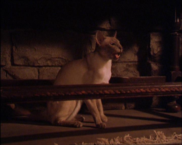 Charmed-Online_dot_net-2x03ThePaintedWorld2007.jpg