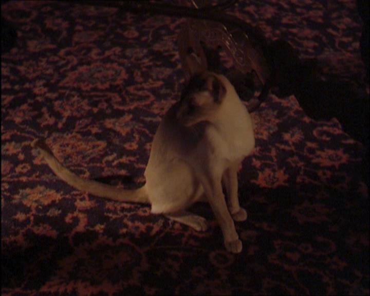 Charmed-Online_dot_net-2x03ThePaintedWorld2145.jpg
