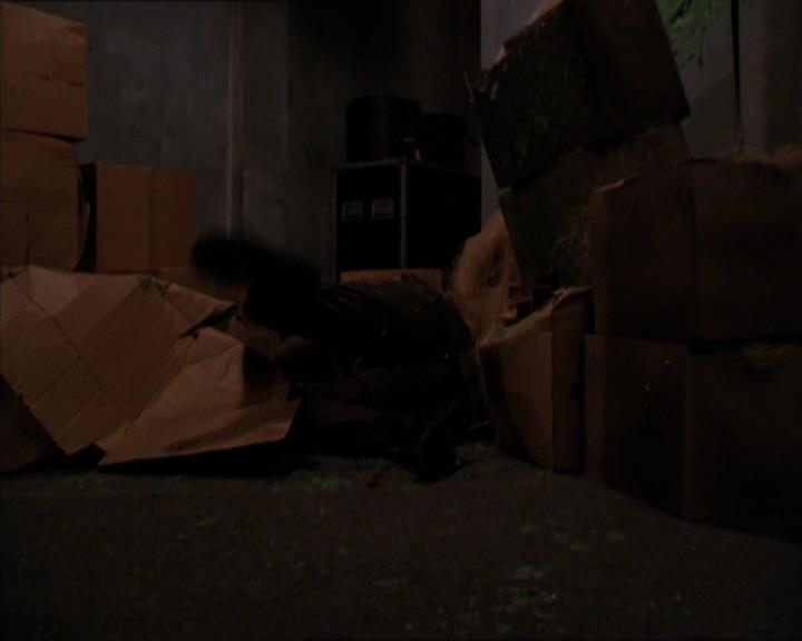 Charmed-Online_dot_net-2x05TheDevilsMusic2197.jpg