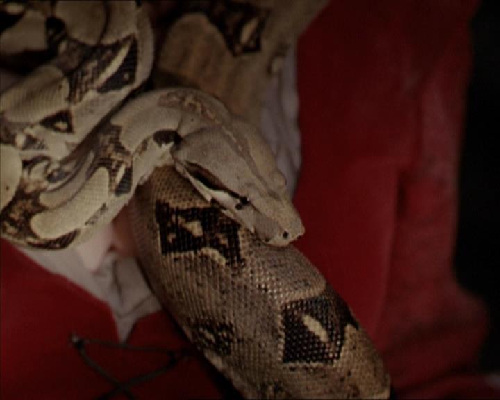 Charmed-Online-dot-net_206ThatOldBlackMagic0112.jpg