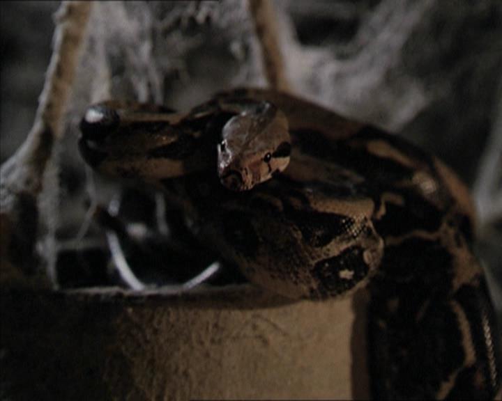 Charmed-Online-dot-net_206ThatOldBlackMagic0173.jpg