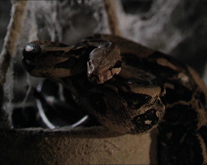 Charmed-Online-dot-net_206ThatOldBlackMagic0174.jpg