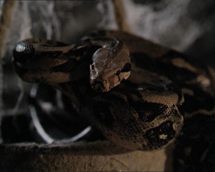 Charmed-Online-dot-net_206ThatOldBlackMagic0175.jpg