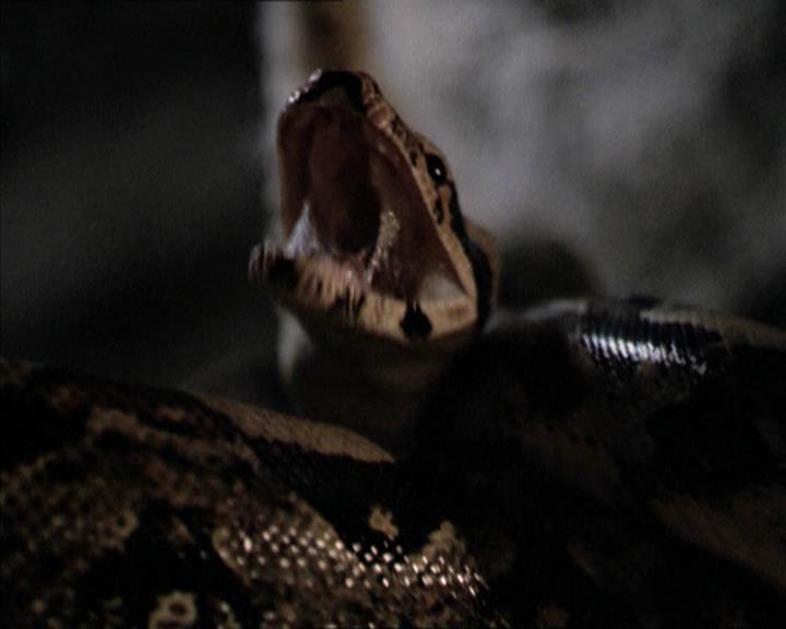 Charmed-Online-dot-net_206ThatOldBlackMagic0179.jpg