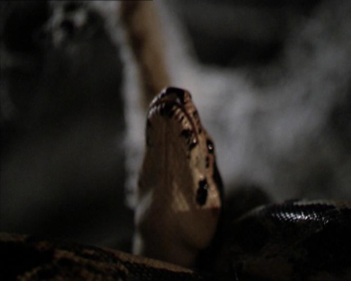 Charmed-Online-dot-net_206ThatOldBlackMagic0183.jpg