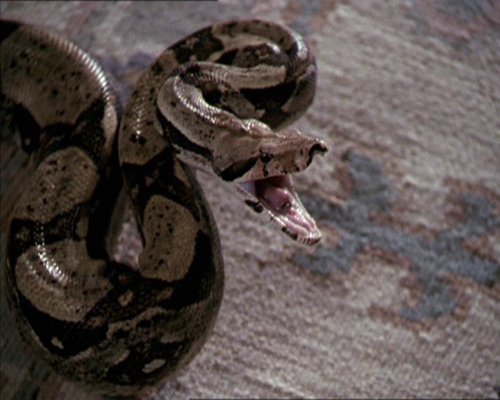Charmed-Online-dot-net_206ThatOldBlackMagic0811.jpg