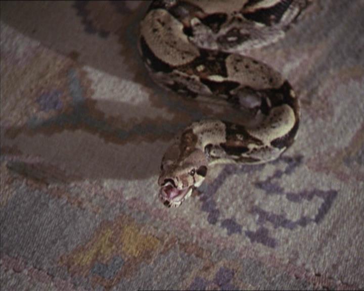 Charmed-Online-dot-net_206ThatOldBlackMagic0821.jpg