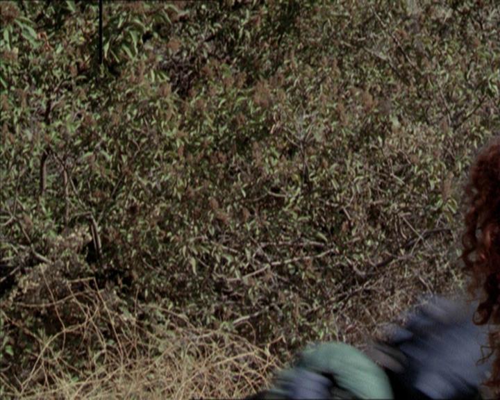 Charmed-Online-dot-net_206ThatOldBlackMagic1214.jpg
