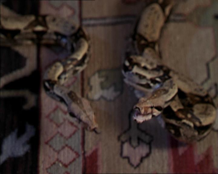 Charmed-Online-dot-net_206ThatOldBlackMagic1941.jpg