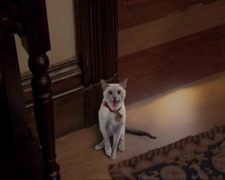 Charmed-Online-dot-net_207TheyreEverywhere0251.jpg