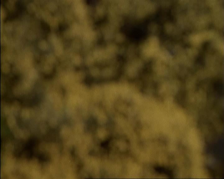 Charmed-Online-dot-net_207TheyreEverywhere0317.jpg