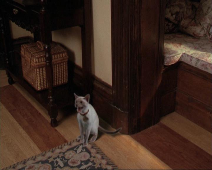 Charmed-Online-dot-net_207TheyreEverywhere0675.jpg