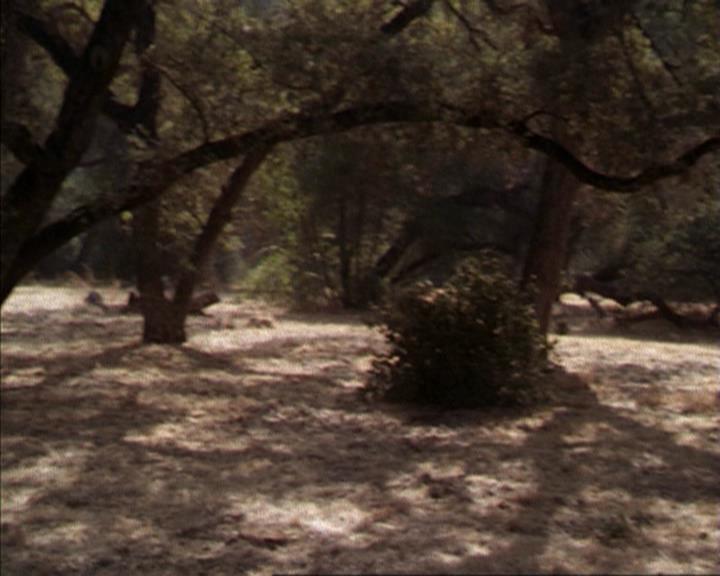 Charmed-Online-dot-net_207TheyreEverywhere1874.jpg
