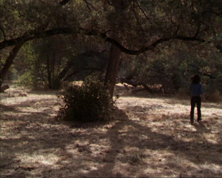 Charmed-Online-dot-net_207TheyreEverywhere1875.jpg Charmed-Online-dot-net_207TheyreEverywhere1875.jpg