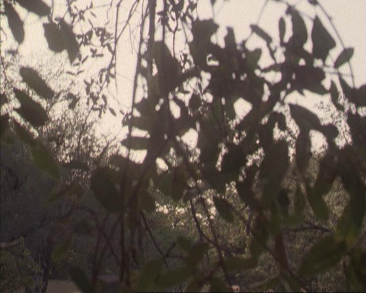 Charmed-Online-dot-net_207TheyreEverywhere1885.jpg