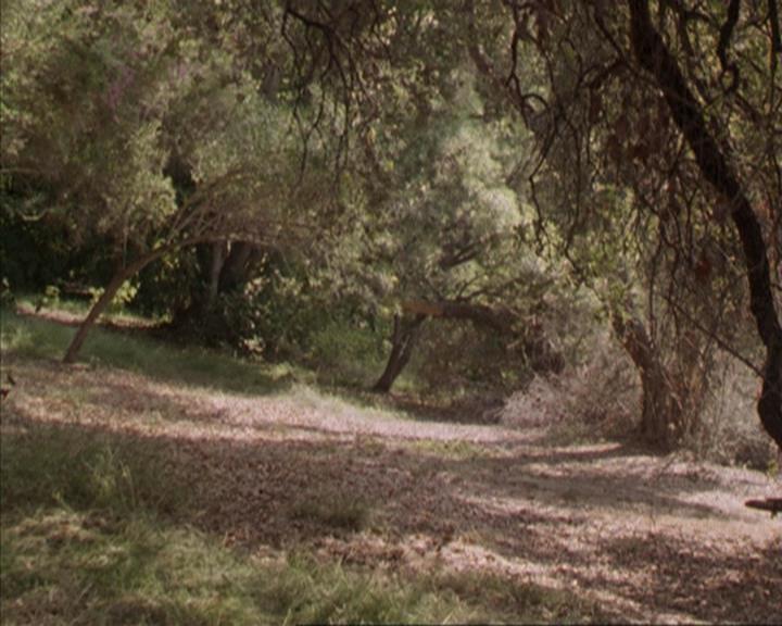 Charmed-Online-dot-net_207TheyreEverywhere1897.jpg