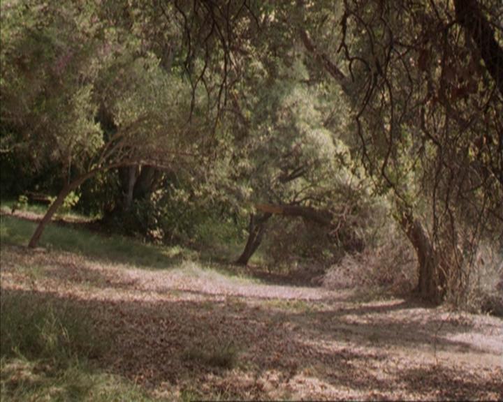 Charmed-Online-dot-net_207TheyreEverywhere1898.jpg
