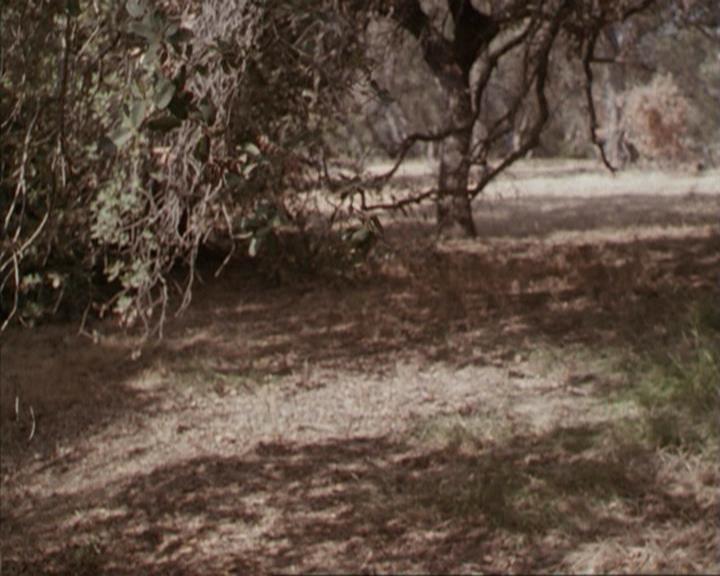 Charmed-Online-dot-net_207TheyreEverywhere1919.jpg