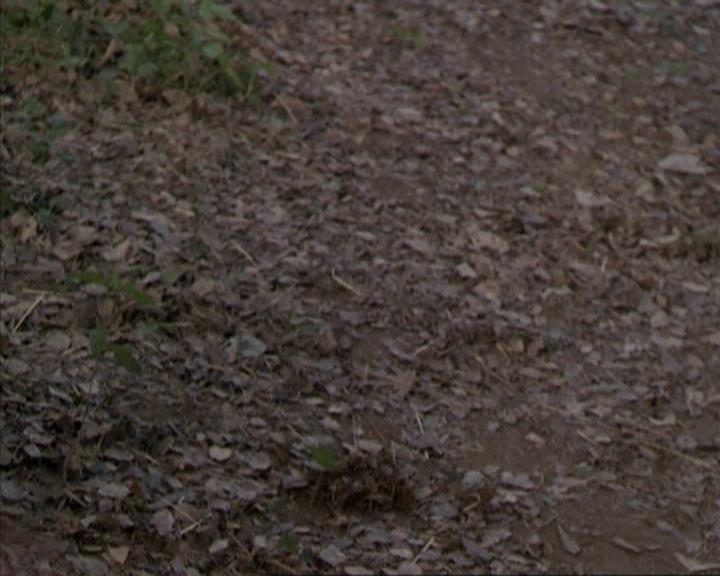 Charmed-Online-dot-net_207TheyreEverywhere1990.jpg