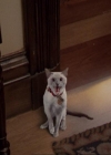 Charmed-Online-dot-net_207TheyreEverywhere0251.jpg