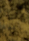 Charmed-Online-dot-net_207TheyreEverywhere0317.jpg