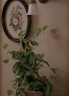 Charmed-Online-dot-net_207TheyreEverywhere0430.jpg