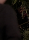 Charmed-Online-dot-net_208P3H200663.jpg