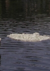 Charmed-Online-dot-net_208P3H202013.jpg